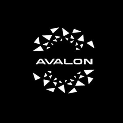 2 шт. Для Toyota Avalon 2022 года и более поздних моделей, приветственный свет в двери автомобиля, проекционный свет, подсветка под ноги, предупреждающий свет двери, декор