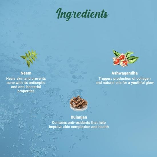 Biotique Fresh Neem Pimple Control Face Wash| Ayurvedic |100% Botanical Extracts| Suitable for All Skin Types | 200mL