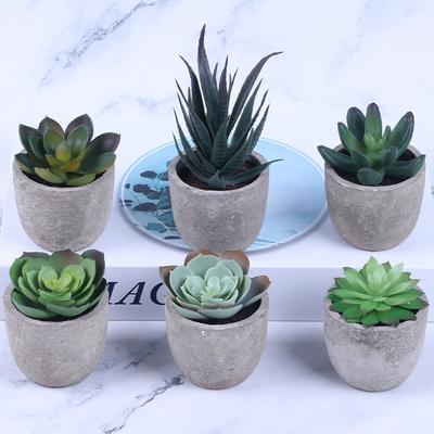 Имитация суккулентной мякоти бонсай, имитация суккулентного растения в горшке, суккулентная комбинация 3Es0853-1