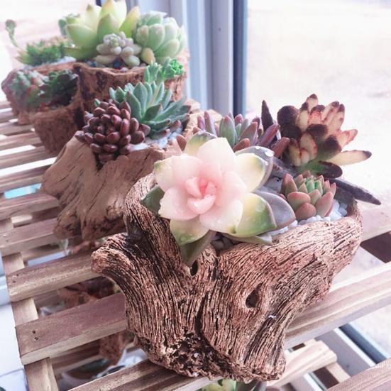 Tree Stump Flowerpot Cement Decorative Planter Desktop Small Rustic Planter for Succulents Cactus Windowsill Shelf Decor