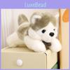 Очаровательная плюшевая игрушка Сибирский хаски, идеальный подарок для детей