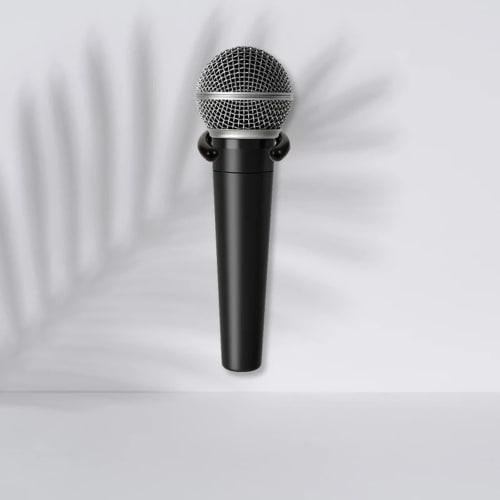 Gerinkoken Microphone Hanger (2-Piece Set), Wall-Mounted Microphone Hanger, Storage Stand, Clip, Wireless, Home Use, Dedicated Hook, Bracket, Clamp, F