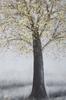 Handmade Wall Painting Tree Simple -A- Cm 80x3,8x120