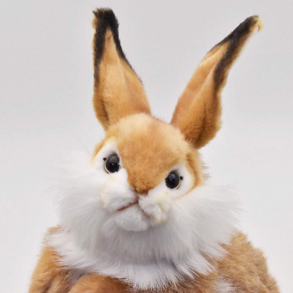 BH3316 HANSA Rabbit 30