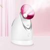 KingDom Nano Hot Mist Facial Steamer