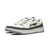 Li Ning Tian Ji Comfortable Versatile Thick Sole Height Increasing Non-Slip Wear-Resistant Skate Shoes Men Sneakers White Green AGCU095-2