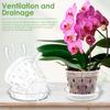 5Pcs Orchid Pot for Repotting 4/5/6 Inch Transparent Slotted Orchid Pots with Holes and Saucers Orchid Flower Plant Repotting