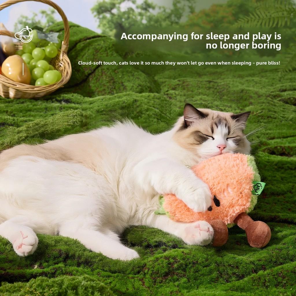 Pet Fruit Toys Interactive Sound Plaything For Cats And Dogs