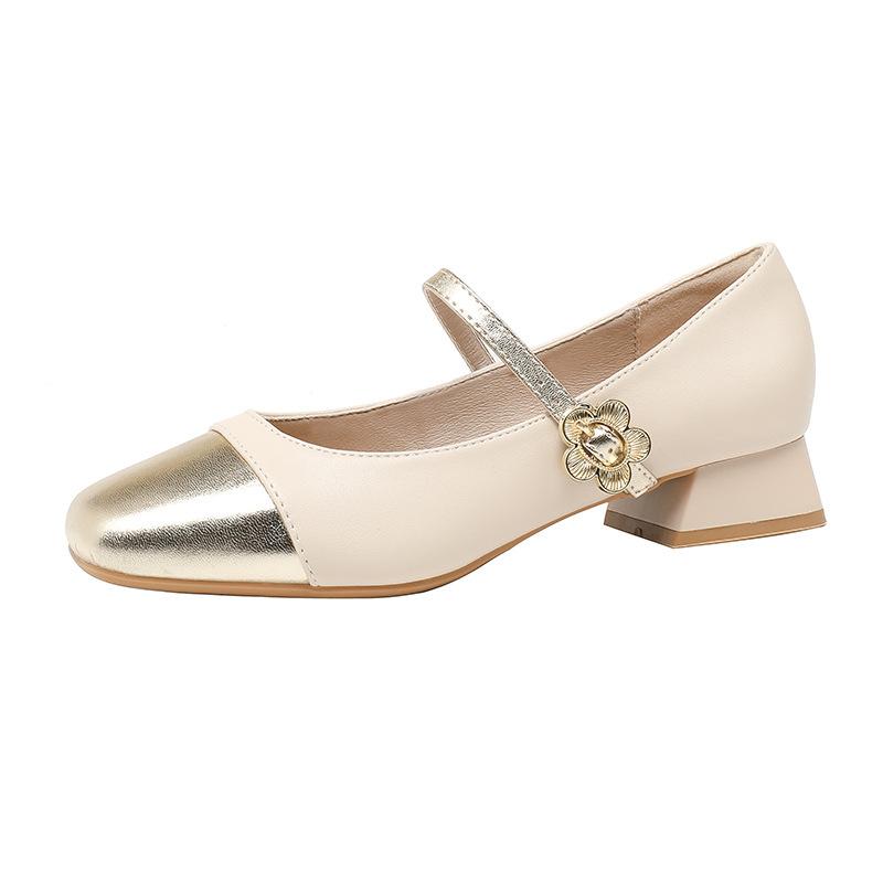 Coarse Heel Single Shoes Women's Spring and Autumn New Shallow Mouth Square Head Grandma Shoes with Skirt Fairy