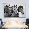 Лошади Черно-белая Картина на Холсте HD Печать Плакаты Животные Лошади Настенные Картины для Современной Гостиной Украшения Дома