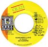 7-дюймовая пластинка DETERMINE - Remember Love CB040 Cell Block 321 1996 Ямайка Регги, Ска и Даб Б/У
