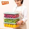 Контейнер для хранения продуктов в холодильнике Xitianlong