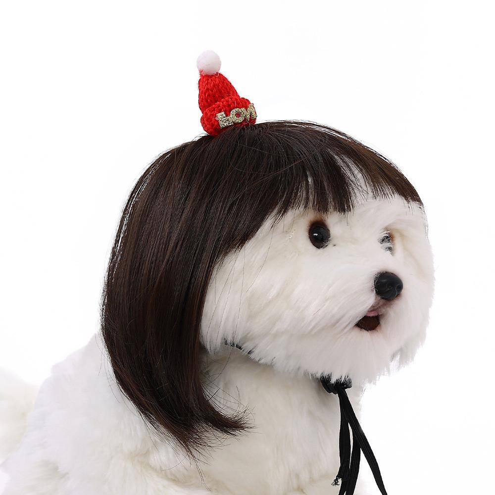 Adorable Pet Wig With Bangs Cute Bob Style For Cats And Dogs In Vibrant Colors