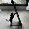Легкие Разделители Полок Милые Черные Коты Подставки для Книг 3D Печатный Силуэт Держатель для Книг Креативные Концевые Опоры для Стола Офиса Домашнего Декора Минималистичный