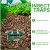 1/12 шт. Ловушка для улиток Ловец Экологичная садовая клетка для слизней Улитка Многоразовый пластик Отпугиватель вредителей Инструменты Gintrap Товары для дома и сада