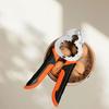 Vanadium Chromium Steel Walnut Cracker Anti-slip Pecan Nut Shell Peeler Nut Clamp  Walnut Cracking