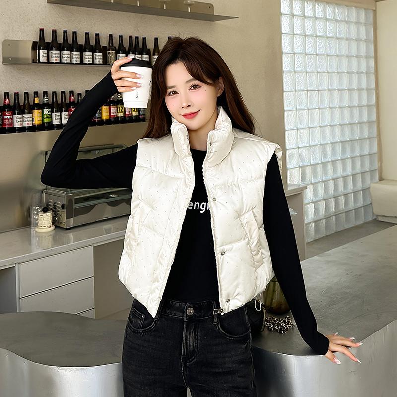 Женская осенне-зимняя однотонная утолщенная верхняя одежда с хлопковой подкладкой и воротником-стойкой, теплая куртка без рукавов, пальто, жилет