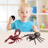 Simulation RC Spider Toy Remote Control Wireless Robot Tarantula Scorpion Toy Realistic Crawling