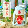 Doshisha Manual Ice Shaver, Compact Storage, with Lidded Ice Cup (M Size), Brush Included, Ice Green