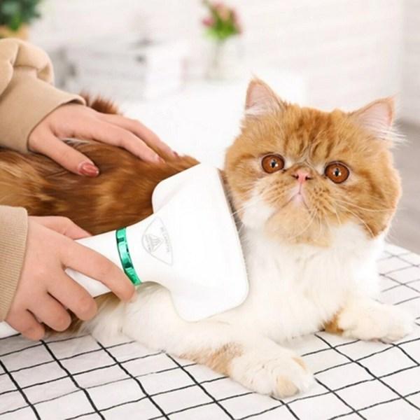 Аэрограф Garrl Pet, расческа-сушилка для волос, низкая интенсивность шума, регулируемая постоянная температура, быстросохнущий ручной, корейский шампунь для домашних животных