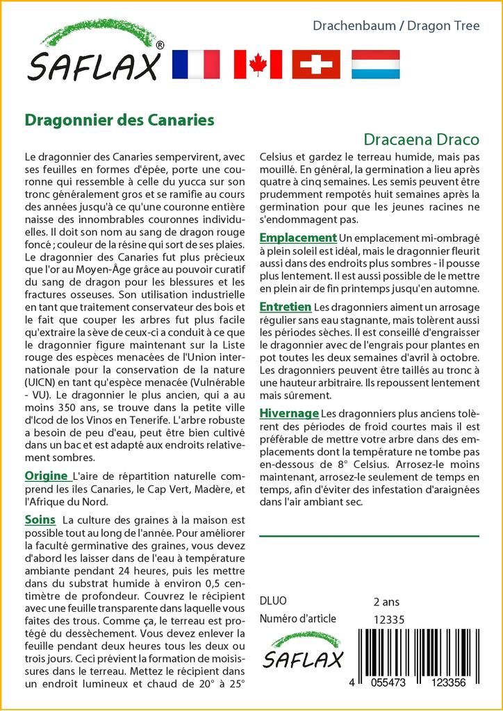 SAFLAX Драконово дерево - 5 семян - Dracaena Draco
