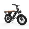Deepower V8 Electric Dirt Bike with Dual Seat, 48V 20AH Battery, 20"x4.0" Fat Tires
