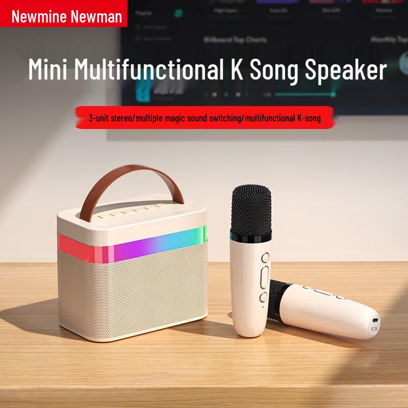 Newmine DP99 Wireless KTV Microphone Speaker System