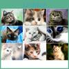 Huacan Diamond Cats Embroidery Huacan Diamond Painting Full Round Animals Rhinestones Pictures Beadwork Diamond Mosaic Wall Decor