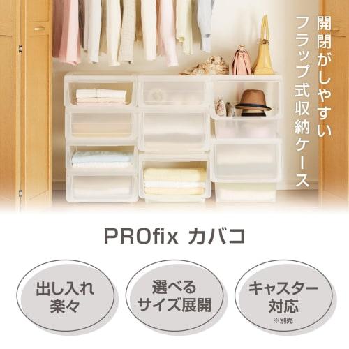 Tenma Kabako Large Flap Storage Box, Easy Access, Assembly Required. This versatile storage case features a flap door and a translucent clear plastic