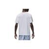 Jordan Мужская футболка с коротким рукавом и круглым вырезом Nike Dri-FIT Sport, однотонная, с логотипом, белая FN5829-100