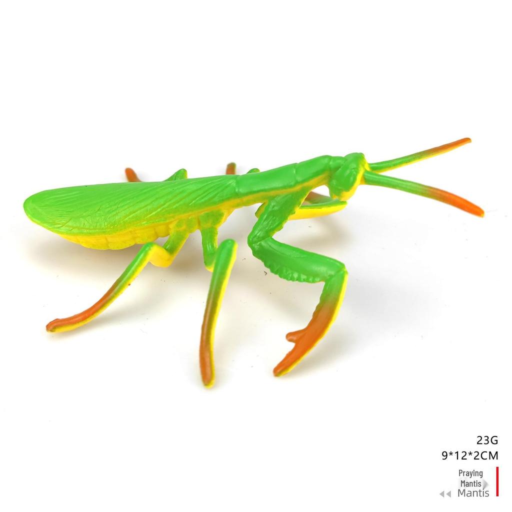 Children's Educational Insect Model Toys: Butterfly, Ladybug, Beetle, Bee, and Grasshopper