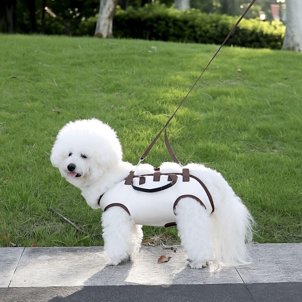 Soft Dog Carrier Backpack Adjustable Pet Strap Artifact Pet Supplies Pet Travel Backpack Hiking