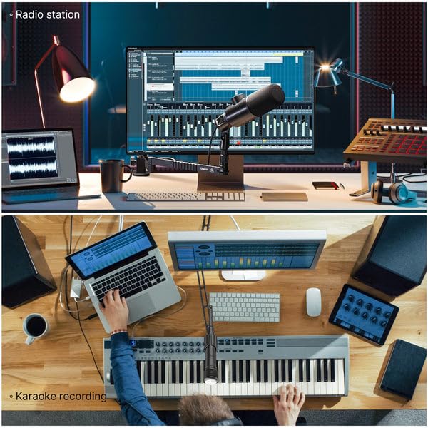 Ulanzi 2991 Vijim LS26 Low Profile Microphone Arm