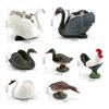 Cross-Border Poultry Model: Children's Cognition Mallard, Swan, Rooster Figurine Set