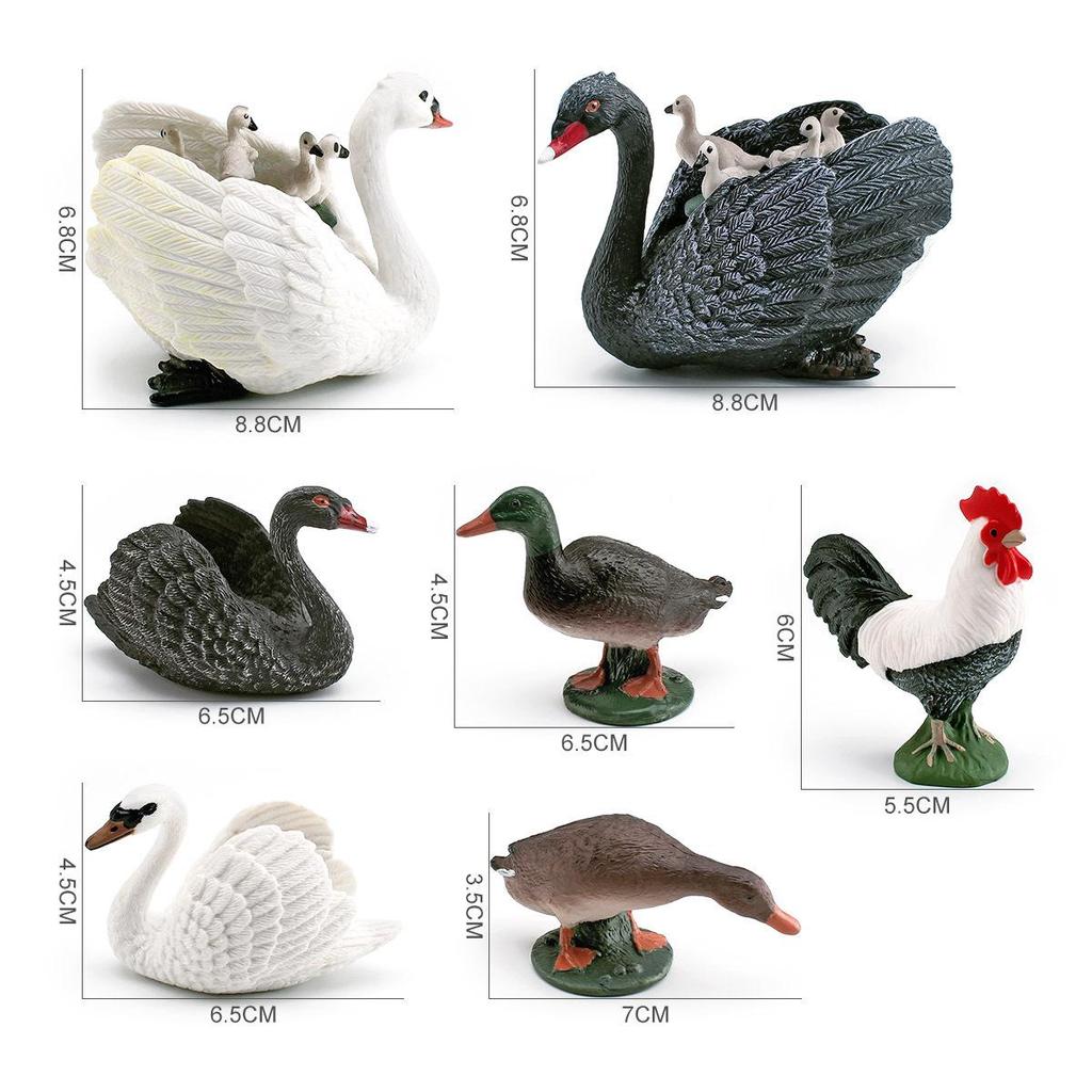 Cross-Border Poultry Model: Children's Cognition Mallard, Swan, Rooster Figurine Set