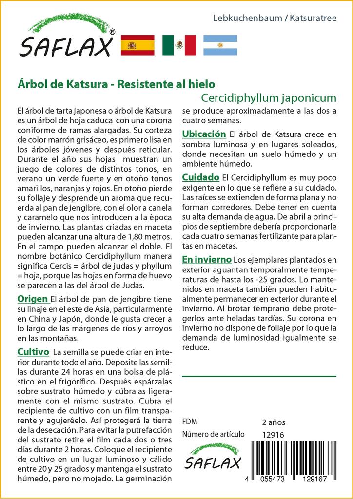 SAFLAX Кацуратри - 200 семян - Cercidiphyllum japonicum