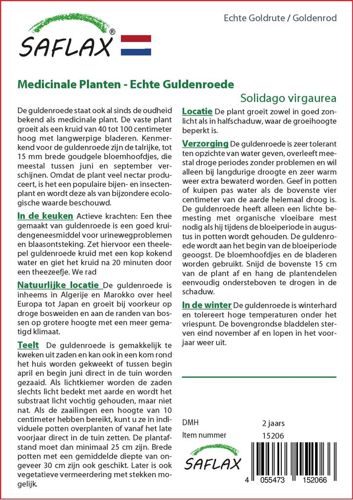 SAFLAX Garden in the Bag - Золотарник - 100 семян - С субстратом в подходящем пакете-стойке - Solidago virgaurea