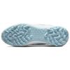 Nike Infinity Pro 2 Golf Белый - DM8449-114