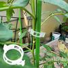 100/200/300 Pcs Plant Clips Plastic Plant Support Clips Reusable Tomato Trellis Clips for Climbing Plants Vines Cucumbers Indoor Outdoor Use