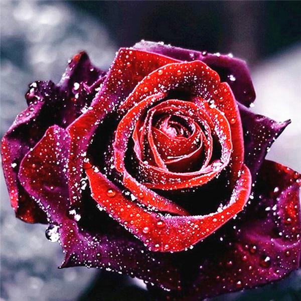 Алмазная вышивка Цветы Алмазная картина ручной работы Роза Изображение Стразы