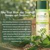Biotique Шампунь и кондиционер с нимом 180 мл Средство против перхоти для сухой зудящей кожи головы Рост волос Свежий блестящий Для всех типов волос