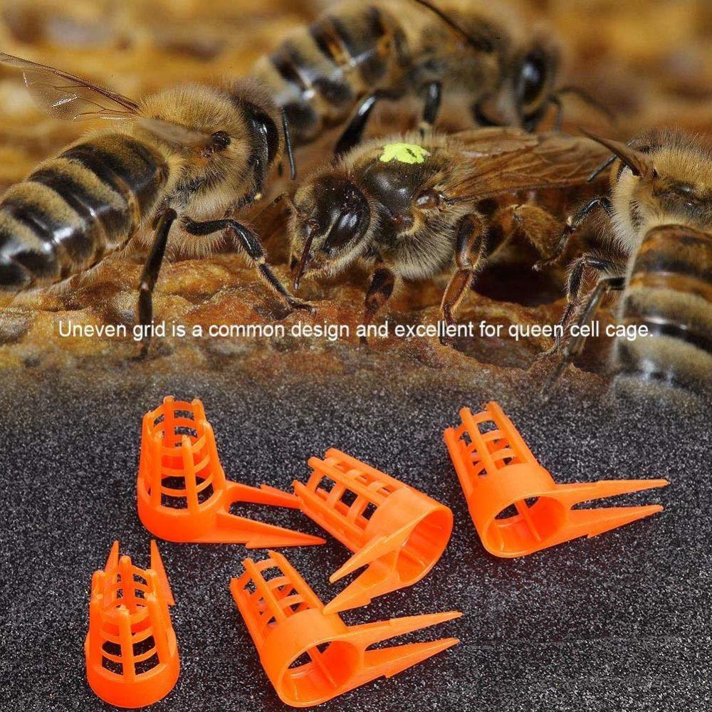 20 шт. колпачков для пчелиных маток с раздвоенными колючками, защитные инструменты для пчеловодства, безопасные крышки для клеток для пчеловодства