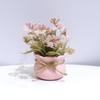 1/4 шт. Имитация горшечных растений Милый дизайн фаленопсиса Офисный декор Розовая тема Подарок Мини-вечеринка 13 см
