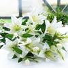 Floral Long Stem 6 Heads Real Looking Fake Plant Artificial Flower Faux Lilies Bouquet Branch