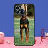 Doberman Dog Phone Case For iPhone 17 16 15 14 13 11 12 Pro Max Plus 13 12 mini 16e 17 Air Bumper Cover