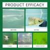 Aquarium Water Treatment Tablets, Water Purifier Tablets for Home Fish Tank, Eliminate Bad Smell and Algae