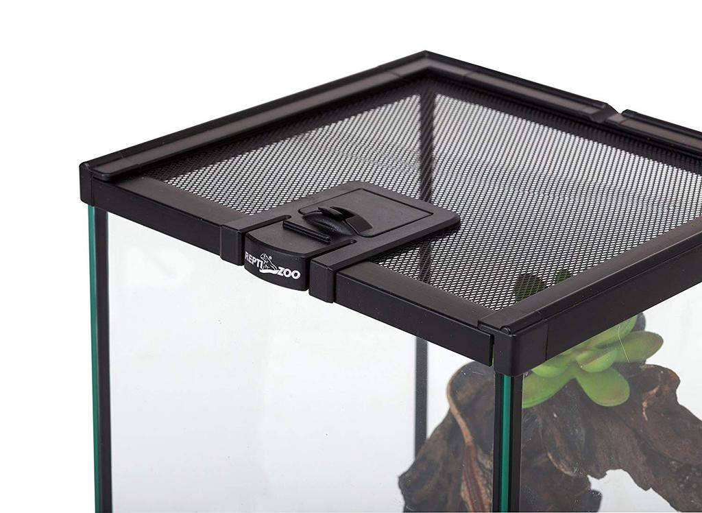 Waterproof Terrarium Terrariums For Spider Scorpion Turtle Gecko Allegro