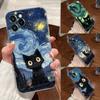 Ретро Масляная Живопись Звездное Небо Кот Чехол Для Apple iPhone 17 16 15 14 13 12 11 Pro Max 16 Plus 16E 17Air 17Pro Чехол Для Телефона Funda