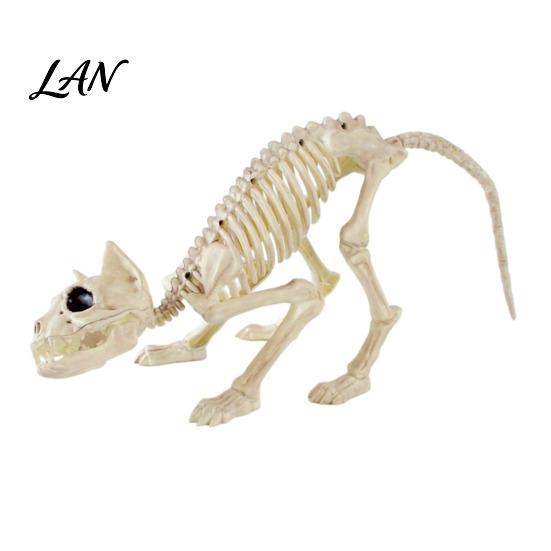 Creepy Halloween Party Props Animal Skeleton, Realistic Fish Bird Spider Snake Cat Skeleton Spooky Model for Party, Haunted House, Graveyard