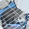 Гамак для кошки Клетка для мелких животных Подвесная кровать Качели Кровать с крючком Однотонная Клетка для животных Дышащая тканевая кровать
